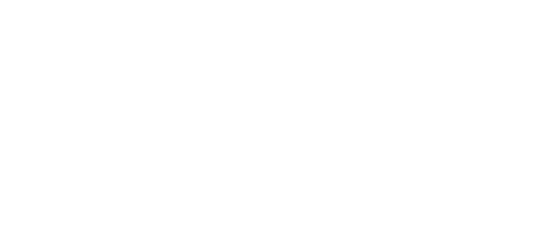 Bulgarian Football Shirts logo